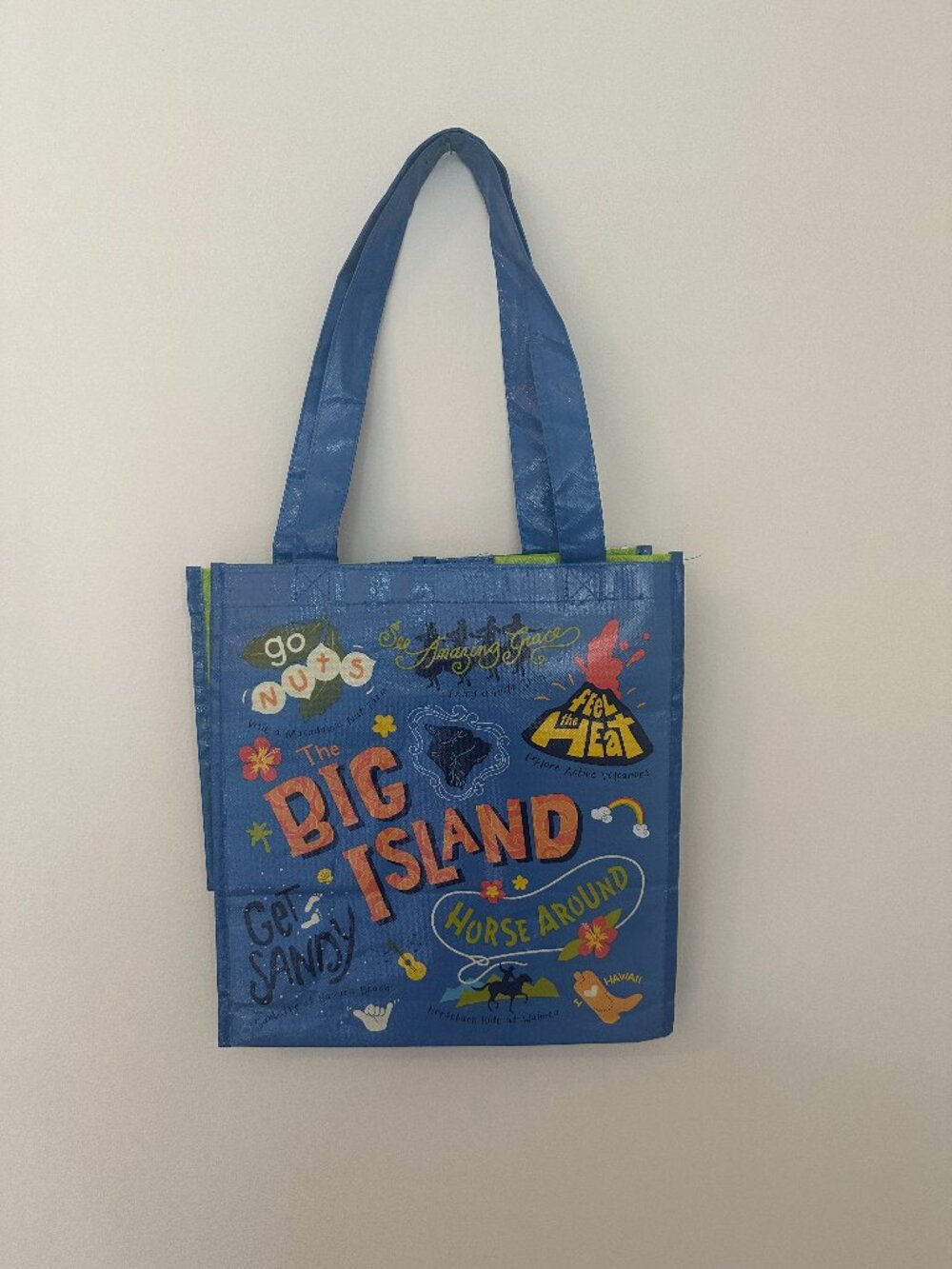 Foodland Set of Reusable Bags and Cooler Tote